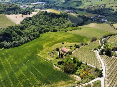 immagine annuncio 2 di 9