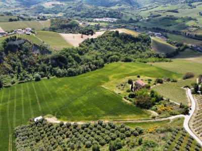 immagine annuncio 3 di 9