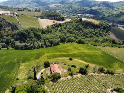 immagine annuncio 4 di 9