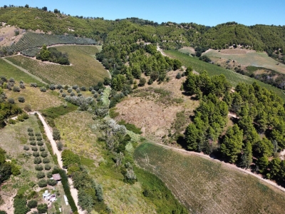 immagine annuncio 4 di 9