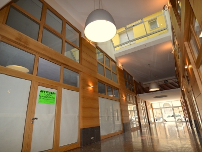 immagine annuncio 4 di 9