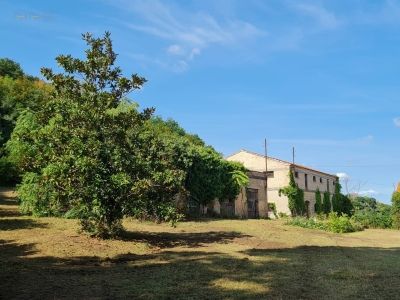 immagine annuncio 6 di 9