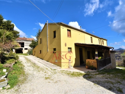 immagine annuncio 2 di 9
