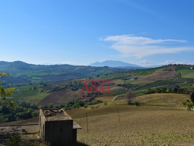 immagine annuncio 3 di 7