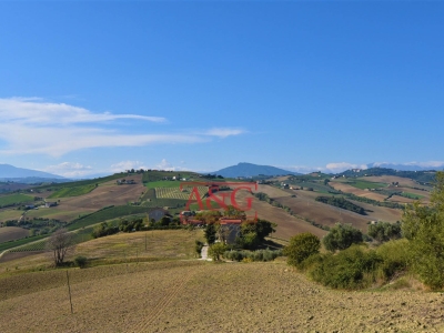 immagine annuncio 4 di 7
