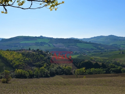 immagine annuncio 5 di 7