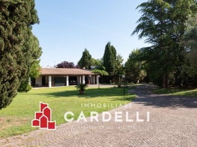 immagine annuncio 5 di 9