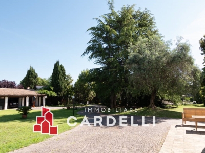 immagine annuncio 6 di 9