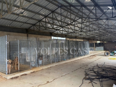 immagine annuncio 6 di 9