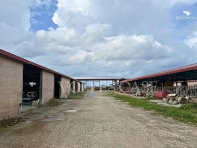 immagine annuncio 5 di 9