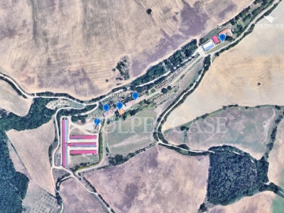 immagine annuncio 1 di 9