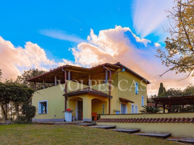 immagine annuncio 2 di 9