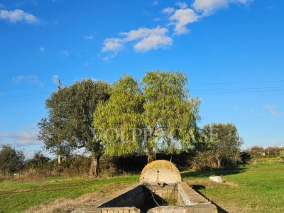 immagine annuncio 7 di 9