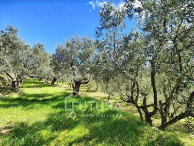 immagine annuncio 5 di 9