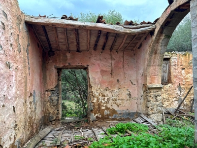 immagine annuncio 8 di 9