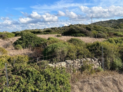 immagine annuncio 4 di 9