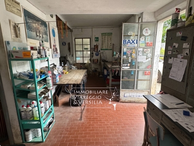 immagine annuncio 7 di 9