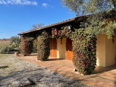 immagine annuncio 4 di 9