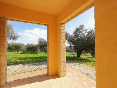immagine annuncio 7 di 9