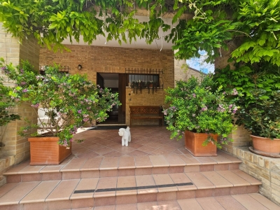 immagine annuncio 6 di 9