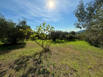immagine annuncio 6 di 8