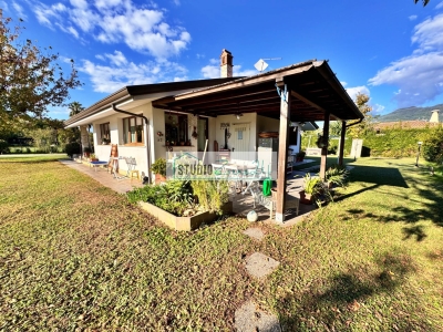 immagine annuncio 3 di 9