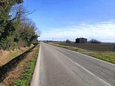 immagine annuncio 3 di 9