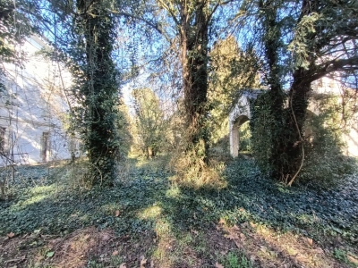 immagine annuncio 6 di 9