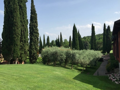 immagine annuncio 7 di 9