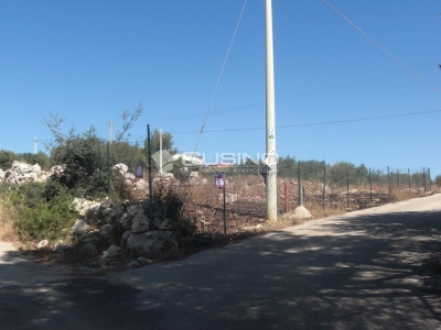 immagine annuncio 5 di 7