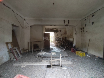 immagine annuncio 3 di 6