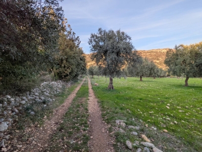 immagine annuncio 6 di 9