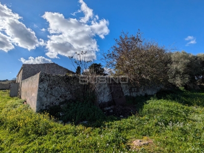 immagine annuncio 3 di 9