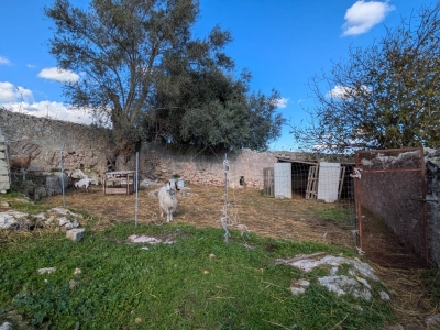 immagine annuncio 8 di 9