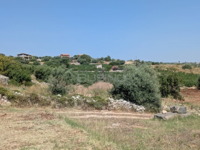 immagine annuncio 6 di 9