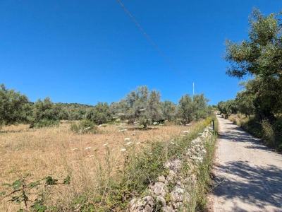 immagine annuncio 5 di 9