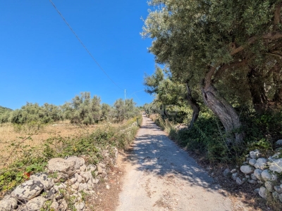 immagine annuncio 7 di 9