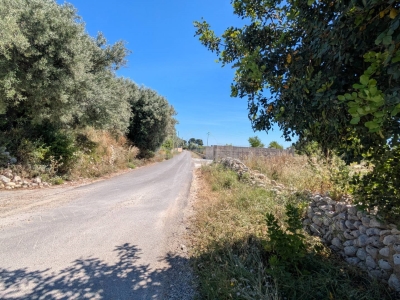 immagine annuncio 8 di 9