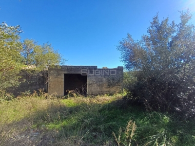 immagine annuncio 5 di 9