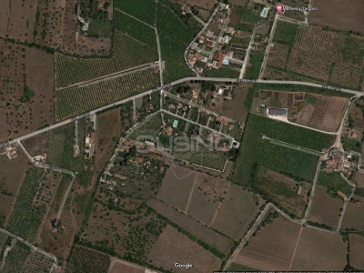 immagine annuncio 1 di 2
