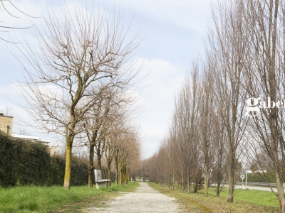 immagine annuncio 6 di 9