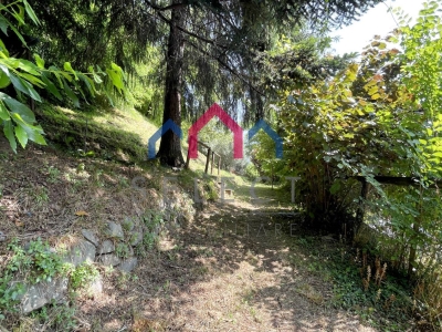 immagine annuncio 4 di 9