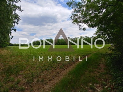 immagine annuncio 6 di 9
