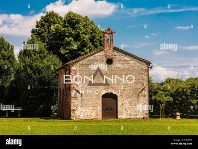 immagine annuncio 7 di 8