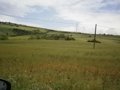 immagine annuncio 2 di 6