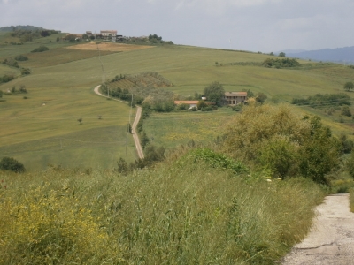 immagine annuncio 3 di 6