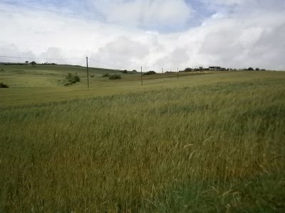 immagine annuncio 4 di 6