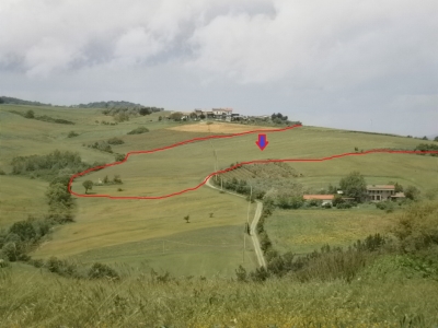 immagine annuncio 1 di 6