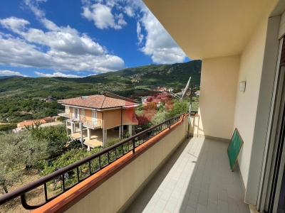 immagine annuncio 5 di 9