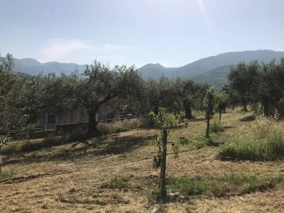 immagine annuncio 2 di 6
